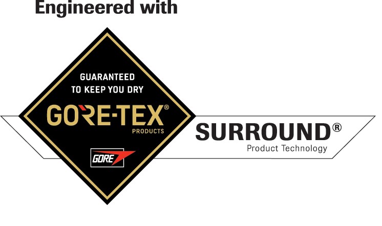 LOGO GTX SURROUND